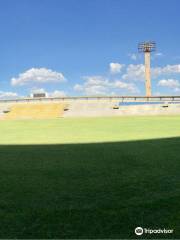 Governador Alberto Tavares Silva Stadium