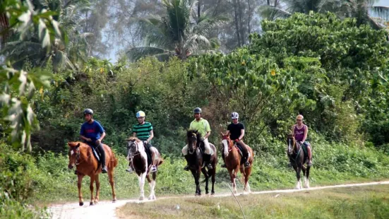 Countryside Stables Penang