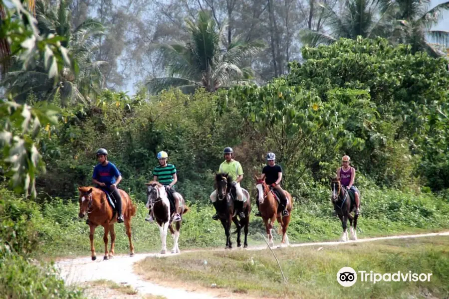 Countryside Stables Penang