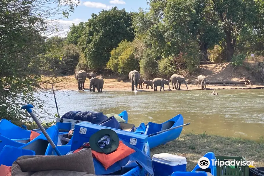 River horse safaris