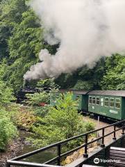 The Mollie Steam Train
