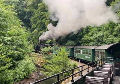 The Mollie Steam Train