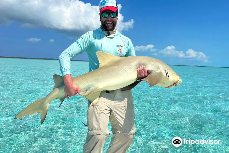 Exuma Bonefishing and Fishing Charters