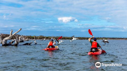 Gippsland Lakes Coastal Park