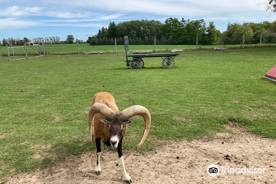 Oshawa Zoo & Fun Farm