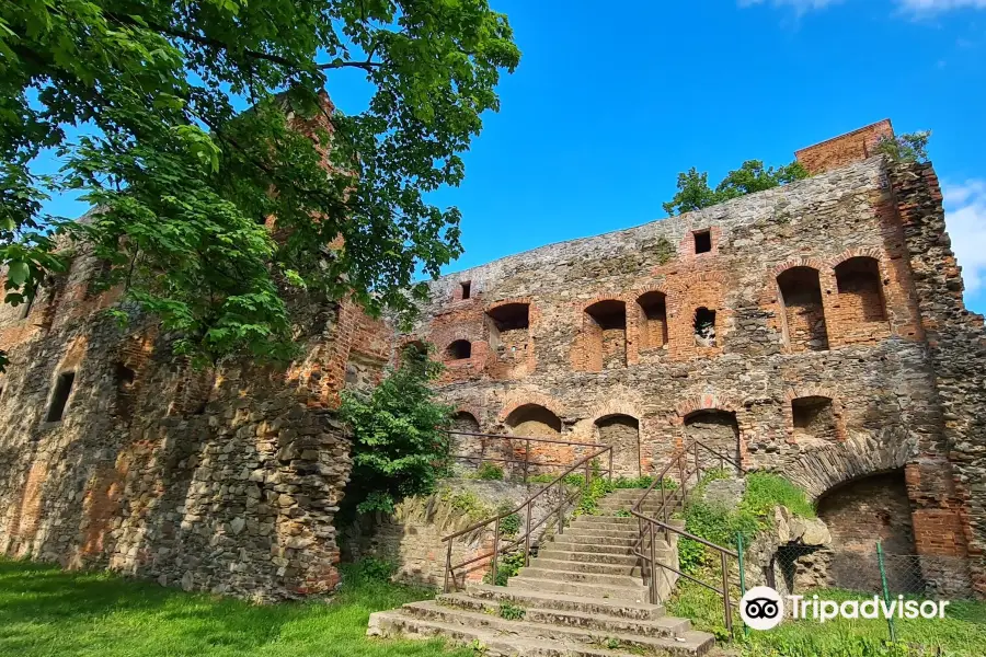 Ruins of Ducal Castle in Zabkowice Slaskie