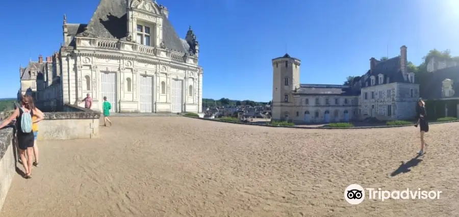 Chateau de Saint-Aignan-sur-Cher