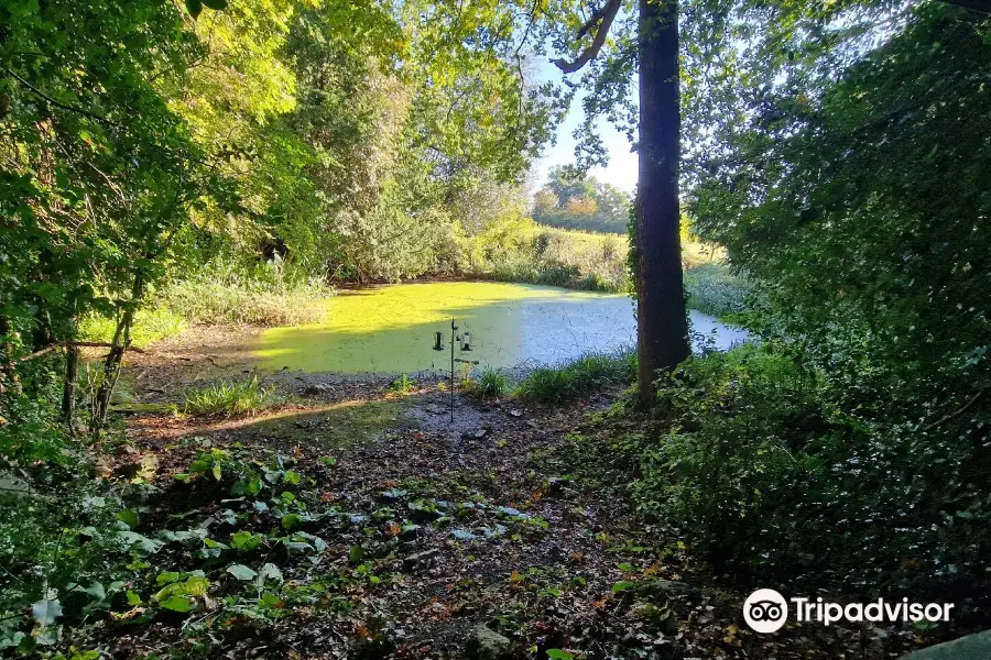 Warley Place Nature Reserve