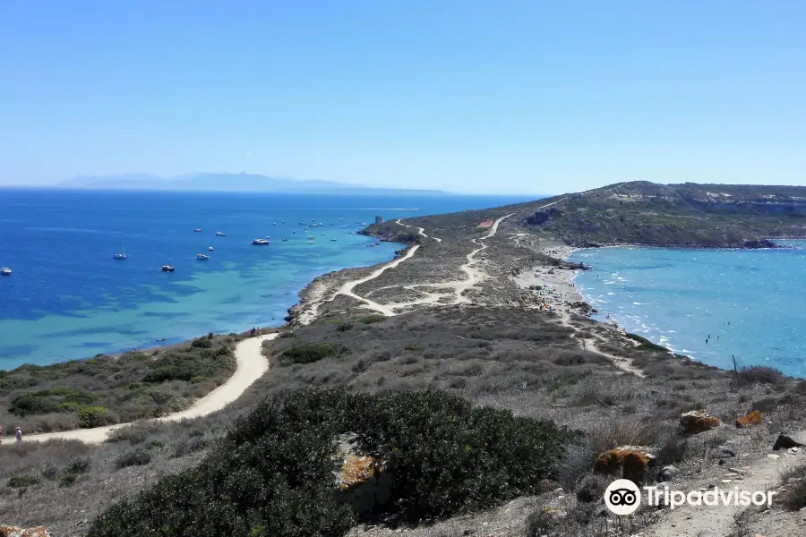 Spiaggia di Is Arutas