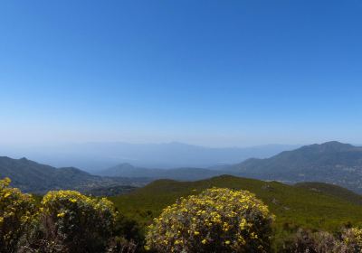 Oromia