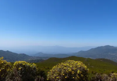 Oromia
