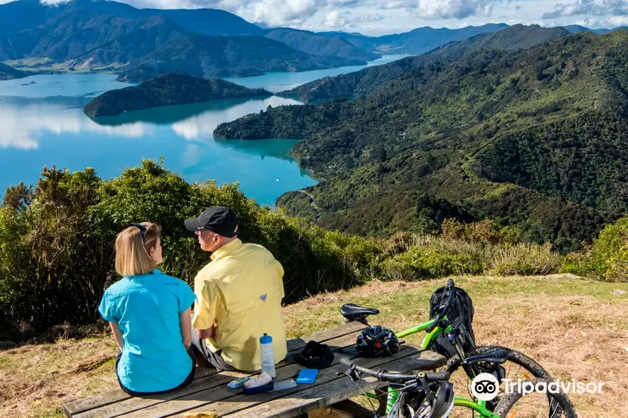 Queen Charlotte Track