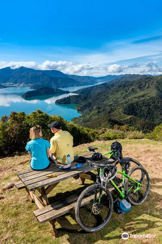 3_Трек Королевы Шарлотты