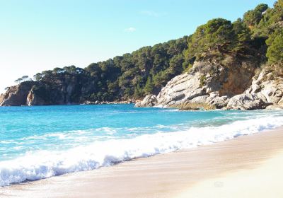 Playa Santa Maria de Llorell