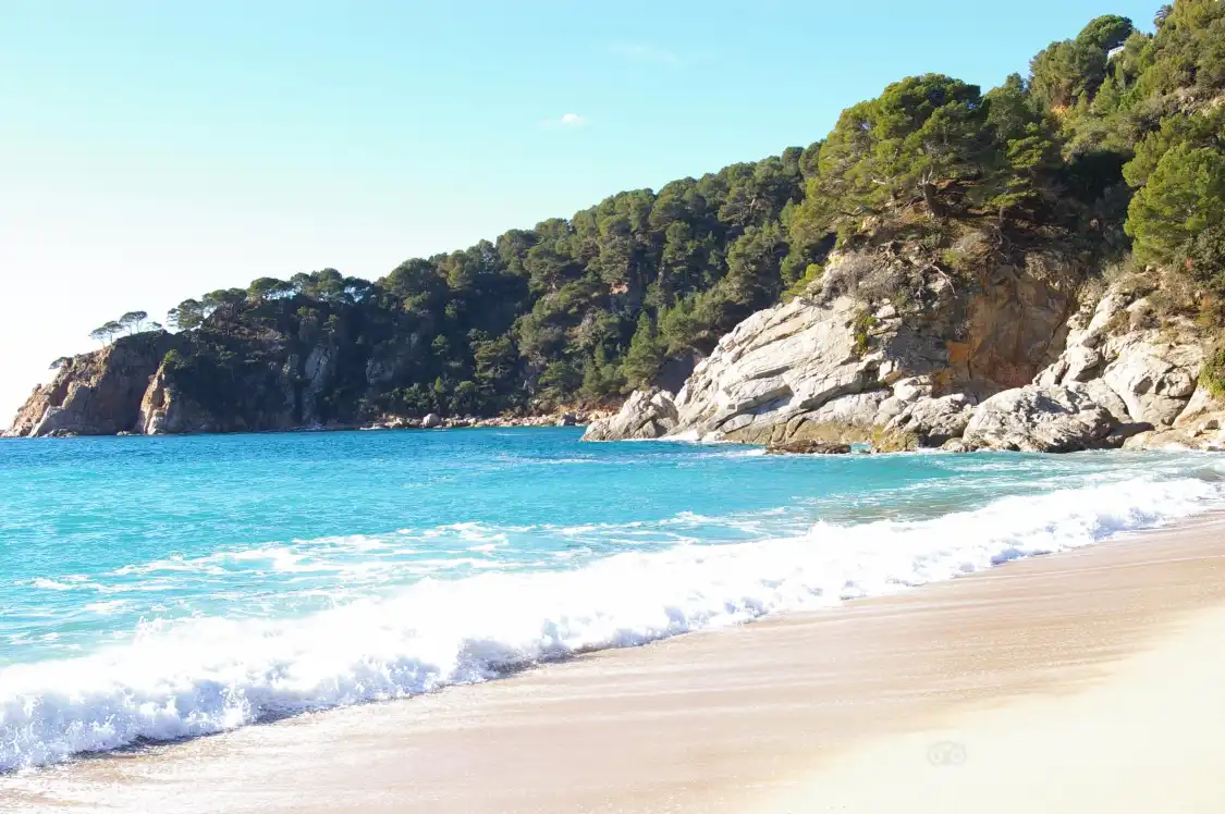 Hotels near Playa Santa Maria de Llorell