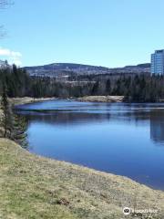 Corner Brook Stream Trail Network