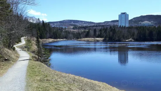 Corner Brook Stream Trail Network