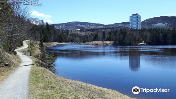 Corner Brook Stream Trail