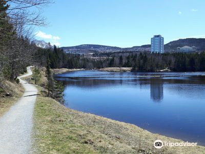 Corner Brook Stream Trail