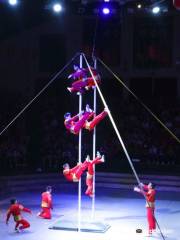 Jeju Circus World