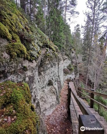 Sietiņiezis