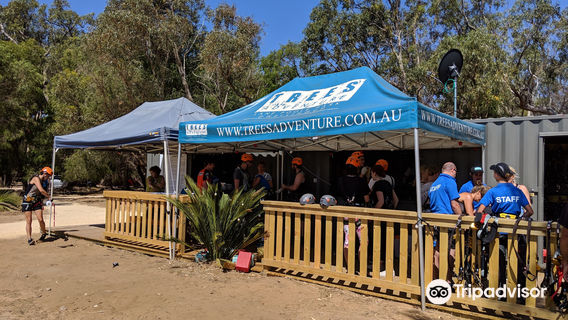 Treetops Adventure Yanchep