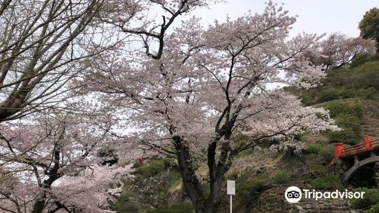 東山公園