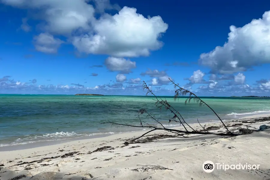 Bambarra Beach