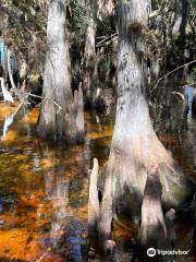 Babcock Ranch Preserve