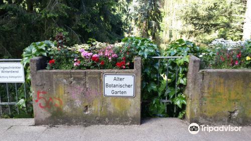 Botanischer Garten