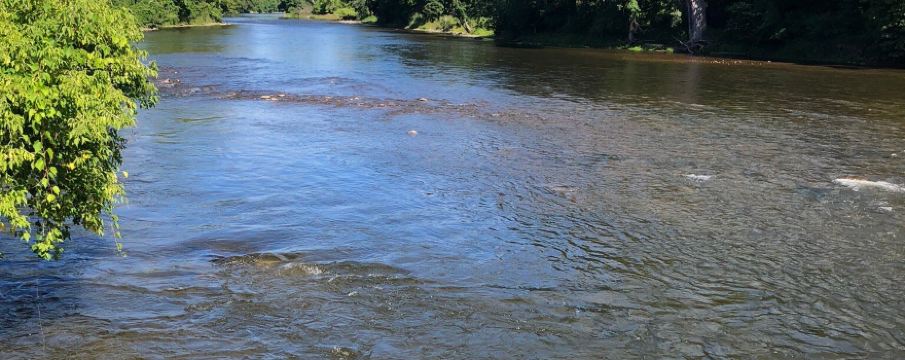 Big Rapids