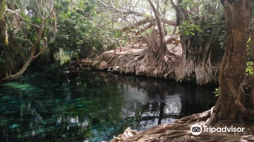 Kikuletwa Hotsprings