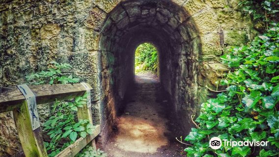 Paddy Freeman's Park