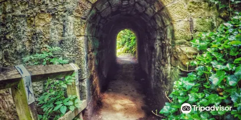 Paddy Freeman's Park