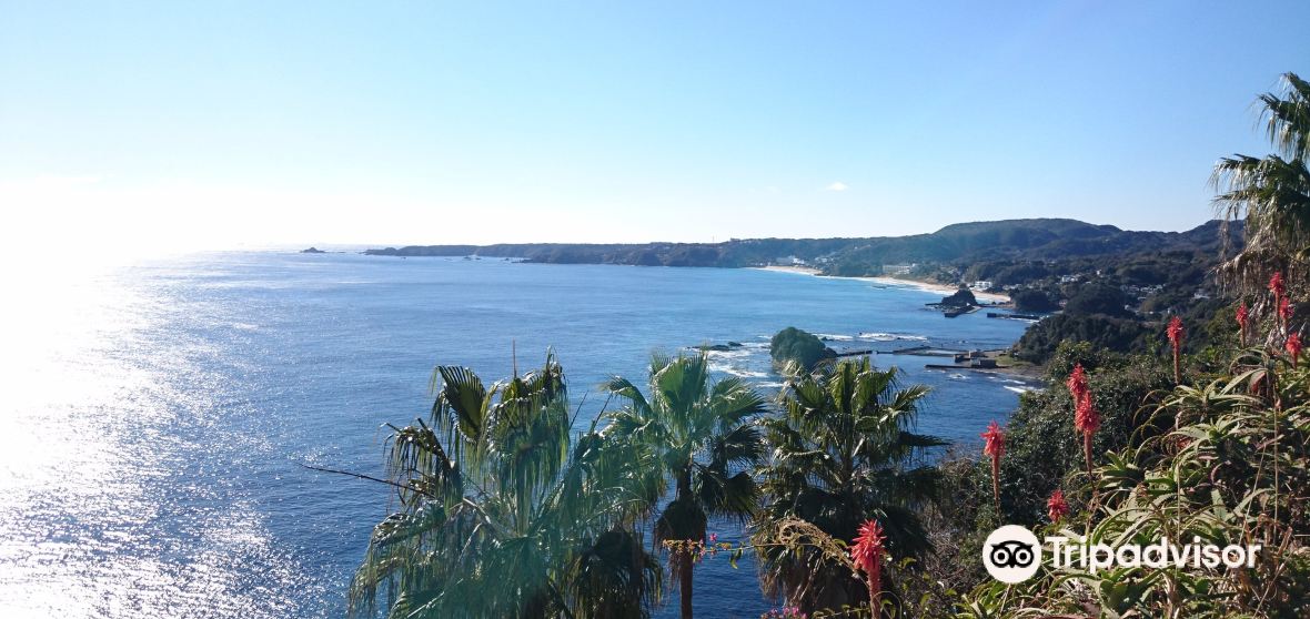 Shimoda Travel Guide 2024 Things to Do, What To Eat & Tips