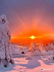 Lapland Safaris Levi