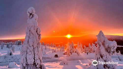 Lapland Safaris Levi