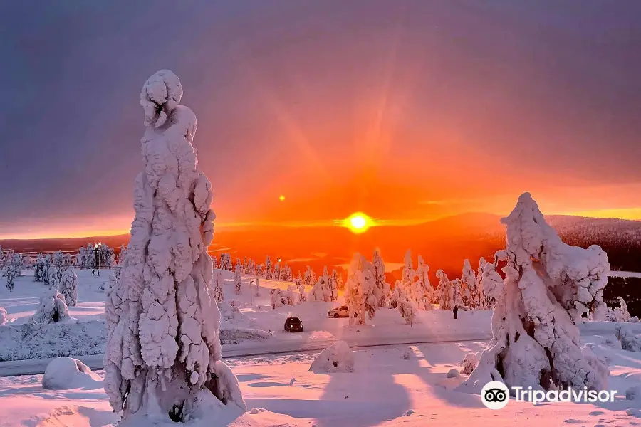 Lapland Safaris Levi