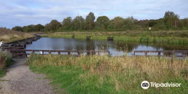 The Avenue Washlands Reserve