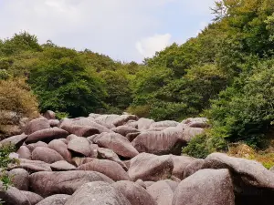 Gorges du Corong