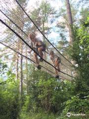 Aventura Amazonia Pirineos