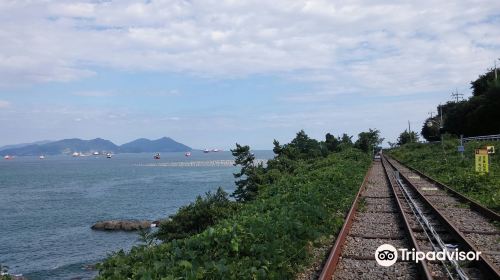 Yeosu Ocean Rail Bike