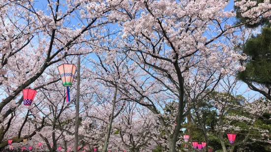 蘆城公園