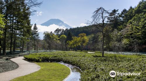 忍野 しのびの里