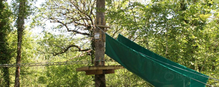 Nature Evasion