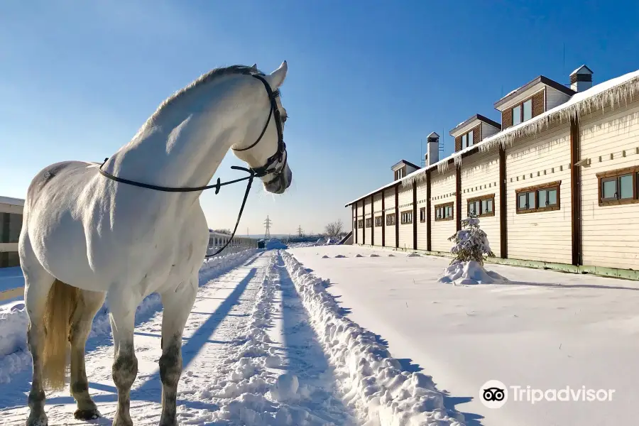 White Stable