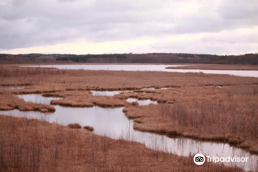 Siikalahti Wetland