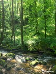 Cascade de Geroldsau