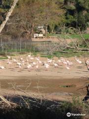 Cañada de los Pájaros