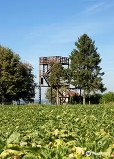 Uitkijktoren